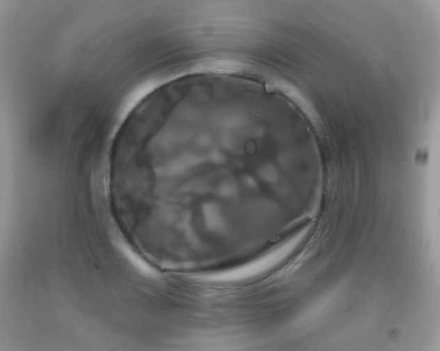 X0000091951083200709061235