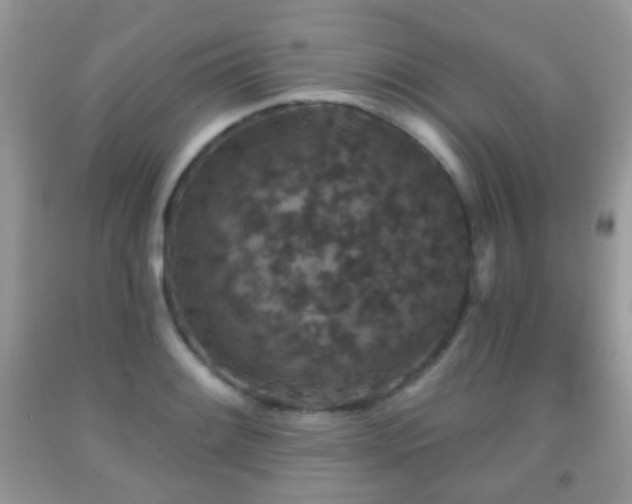 X0000091951084200709061235