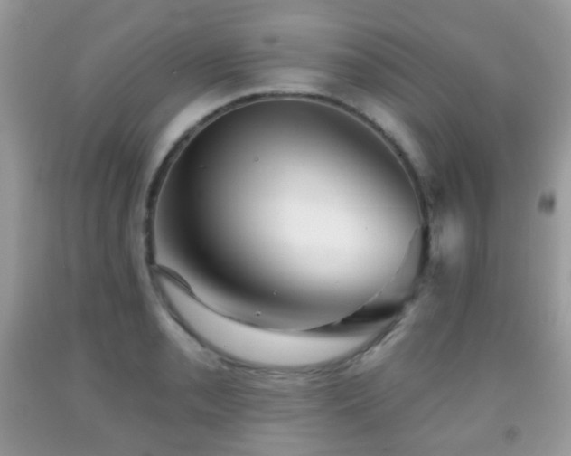 X0000091951085200709061235