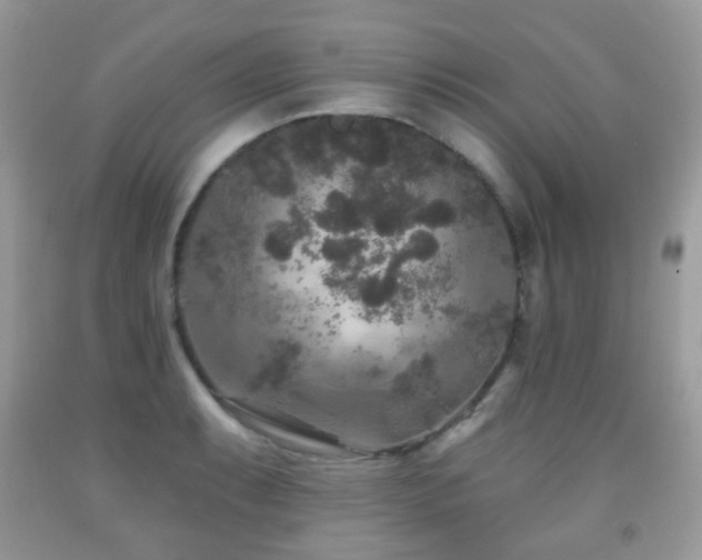 X0000091951087200709061235