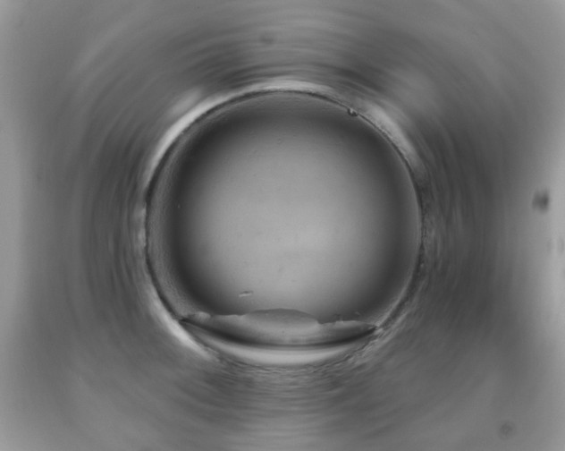X0000091951092200709061235