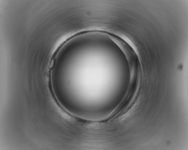 X0000091951093200709061235