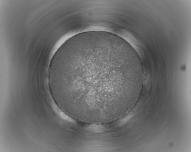 X0000091951094200709061235