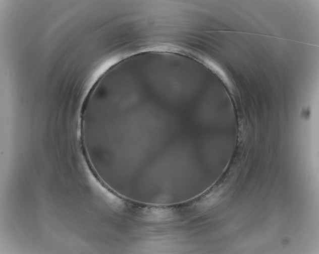 X0000091951095200709061235