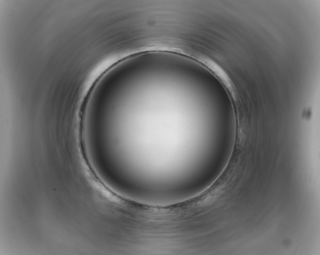 X0000091951096200709061235