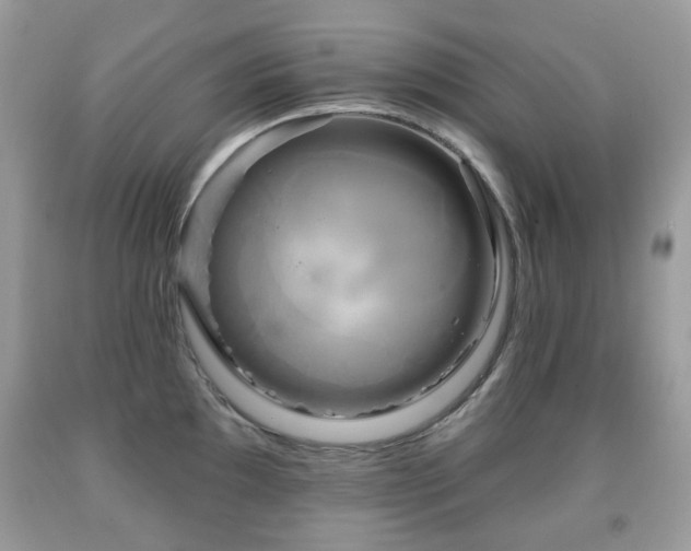 X0000091951097200709061235
