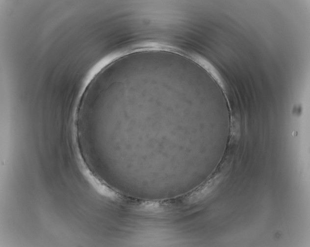 X0000091951098200709061235