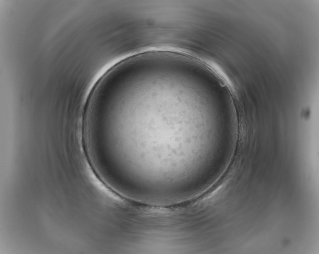 X0000091951100200709061235