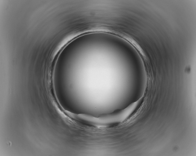 X0000091951101200709061235