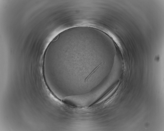 X0000091951102200709061235