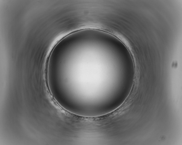 X0000091951104200709061235