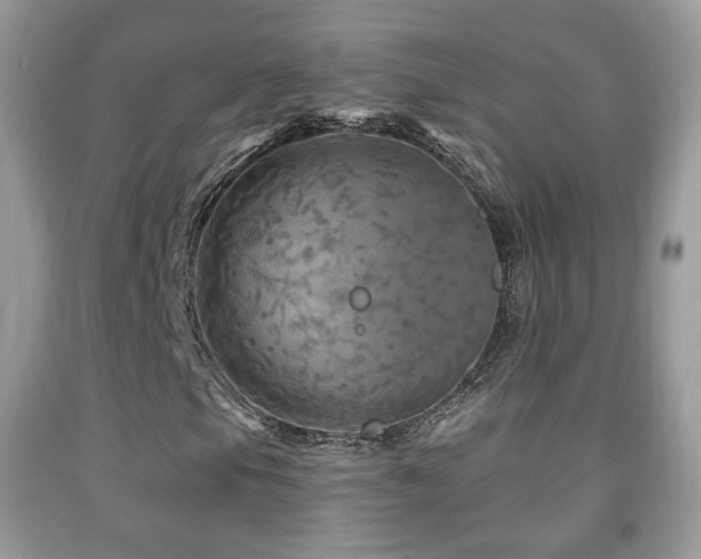 X0000091951105200709061235