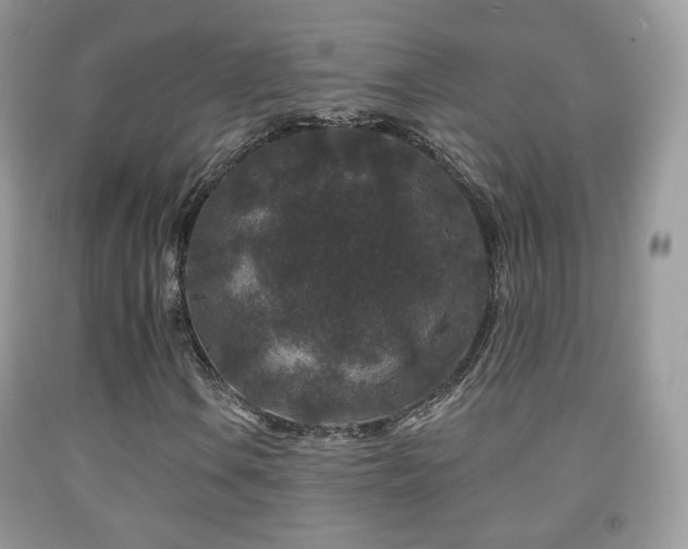 X0000091951106200709061235