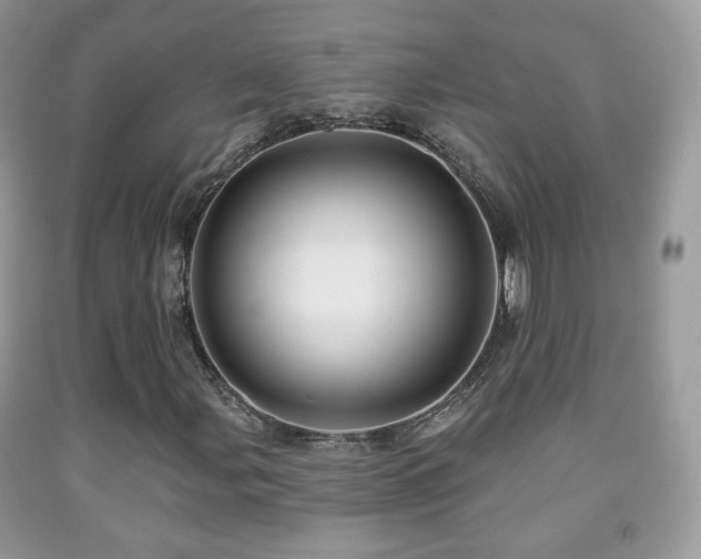 X0000091951107200709061235