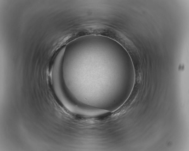 X0000091951108200709061235