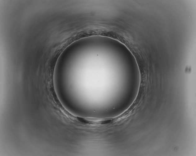 X0000091951109200709061235