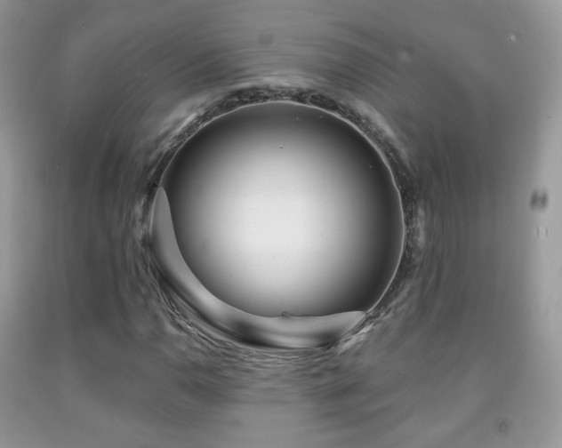 X0000091951110200709061235