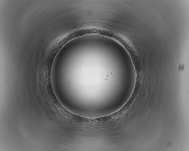 X0000091951111200709061235