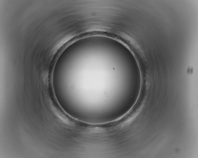 X0000091951113200709061235