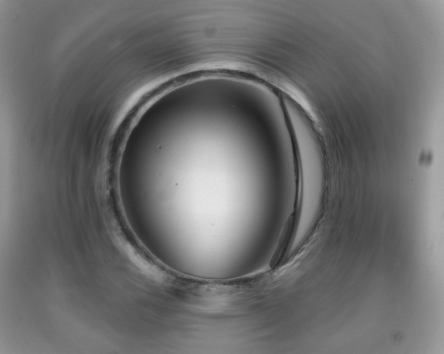 X0000091951116200709061235