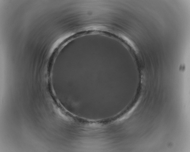 X0000091951117200709061235