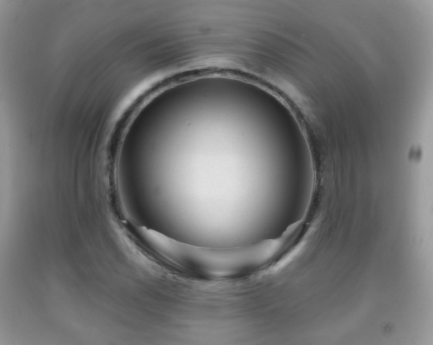 X0000091951118200709061235