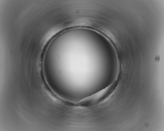 X0000091951119200709061235
