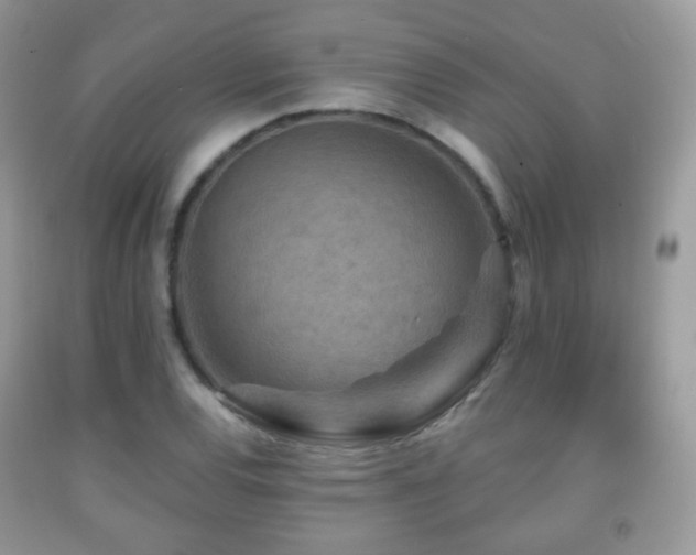 X0000091951120200709061235