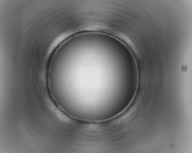 X0000091951122200709061235
