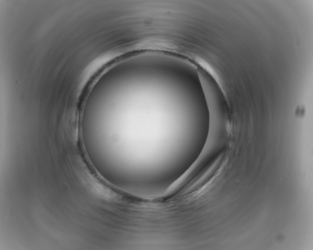 X0000091951123200709061235