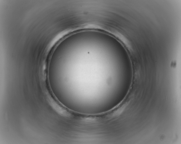 X0000091951126200709061235