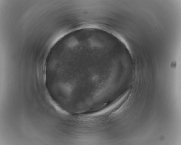 X0000091951127200709061235