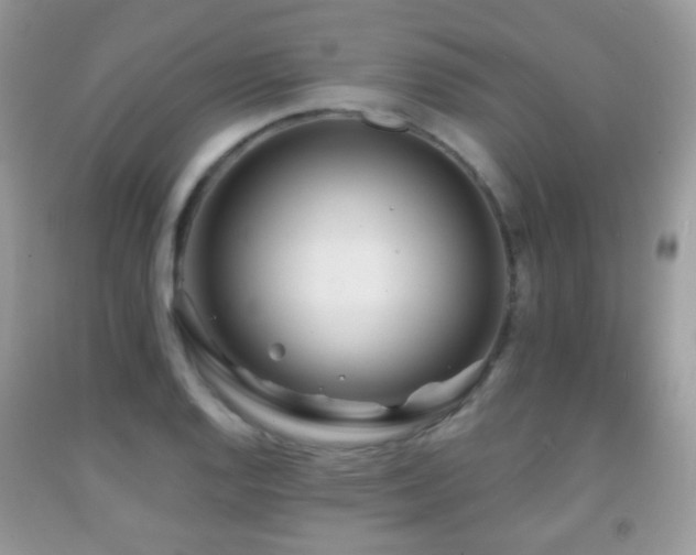 X0000091951128200709061235