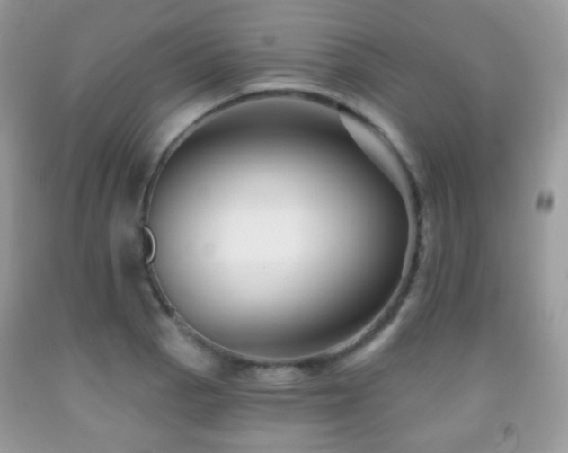 X0000091951129200709061235
