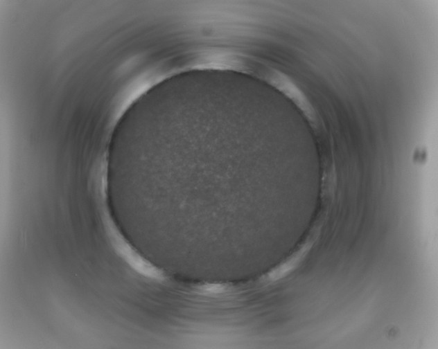 X0000091951130200709061235