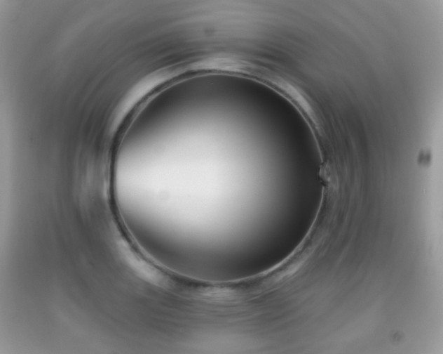 X0000091951131200709061235