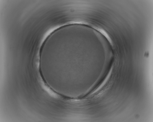 X0000091951132200709061235