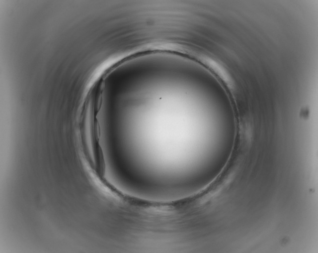 X0000091951133200709061235