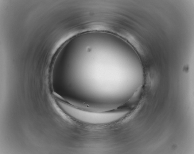 X0000091951134200709061235