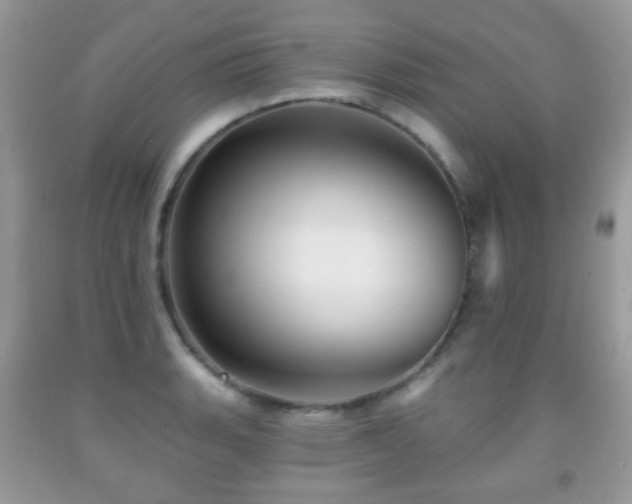 X0000091951135200709061235