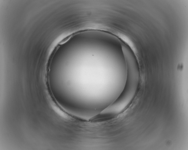 X0000091951136200709061235