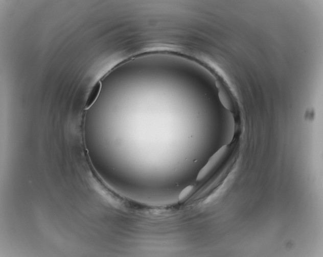 X0000091951137200709061235