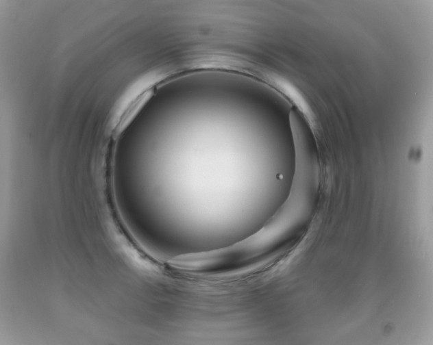 X0000091951138200709061235