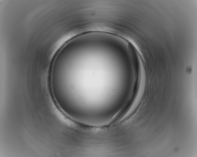 X0000091951139200709061235