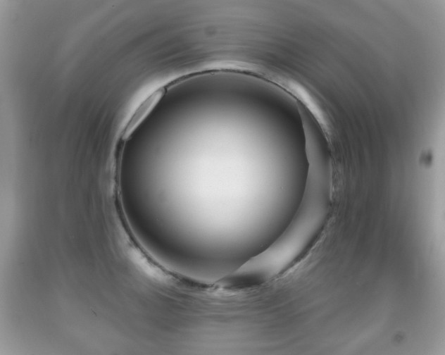 X0000091951140200709061235