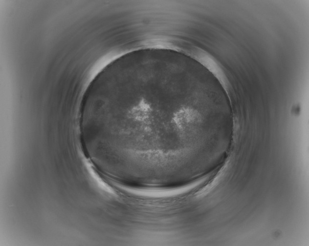 X0000091951141200709061235