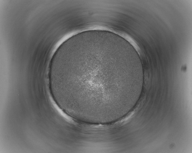 X0000091951142200709061235