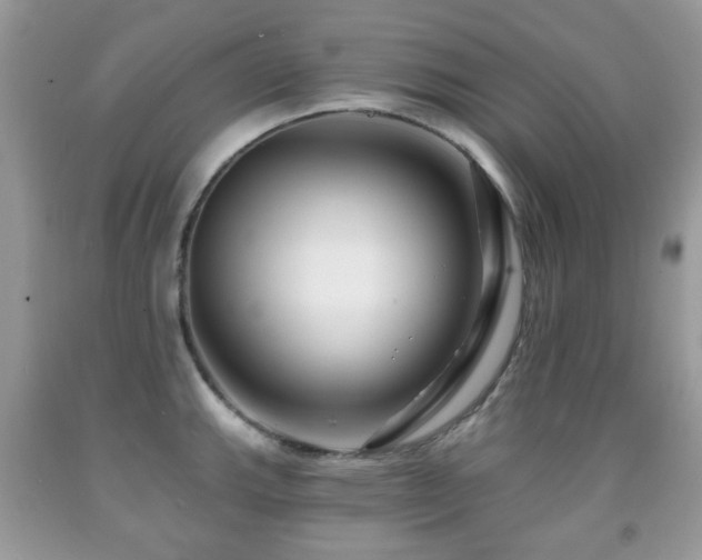 X0000091951143200709061235