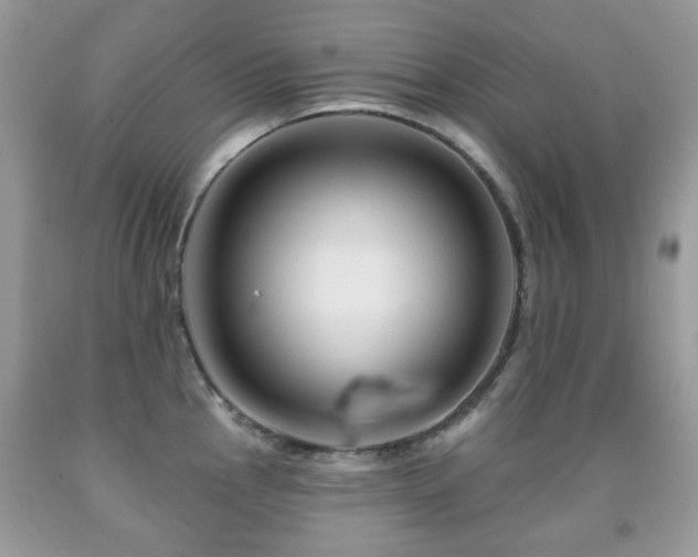 X0000091951145200709061235