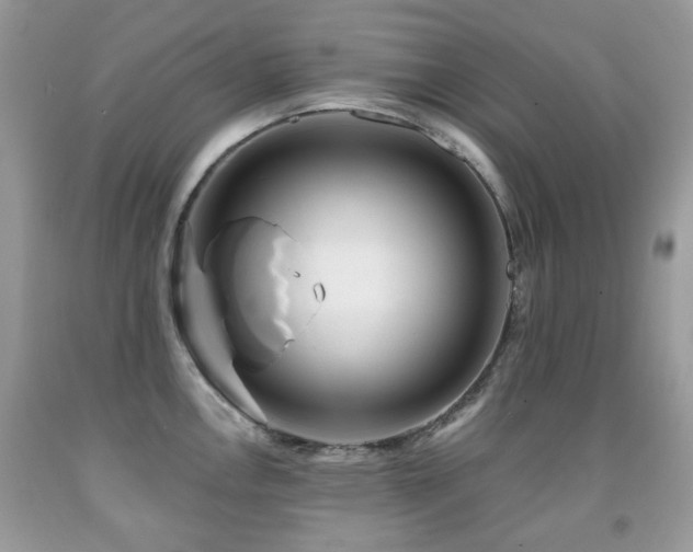 X0000091951146200709061235